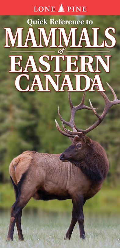 Front cover_Quick Reference to Mammals Of Eastern Canada
