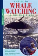 Front cover_A Guide to Whale Watching in the Maritimes