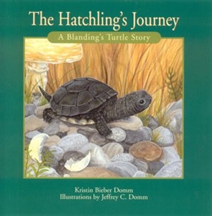 Hatchling's Journey