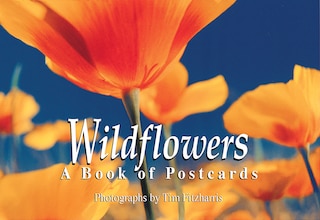 Front cover_Wildflowers