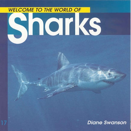 Welcome to the World of Sharks