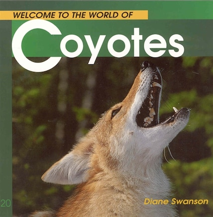 Welcome To The World Of Coyotes