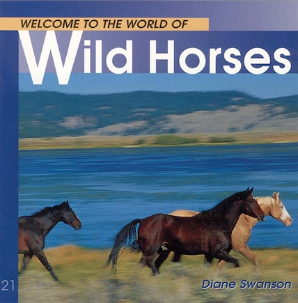 Welcome To The World Of Wild Horses