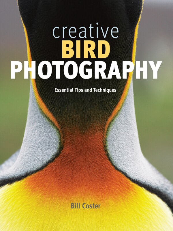 Front cover_Creative Bird Photography