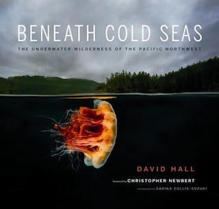 Front cover_Beneath Cold Seas