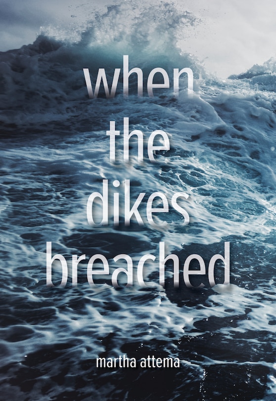Front cover_When The Dikes Breached