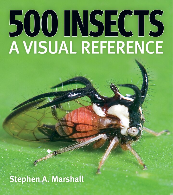 Front cover_500 Insects