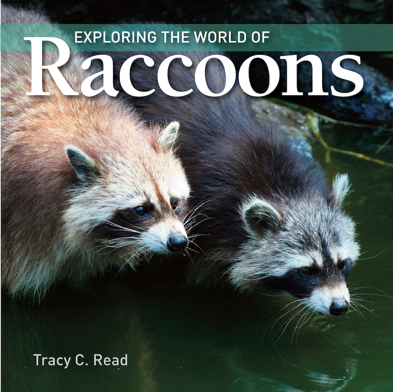 Front cover_Exploring the World of Raccoons