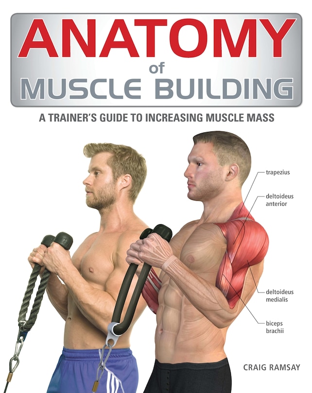 Front cover_Anatomy Of Muscle Building