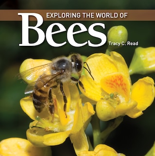 Couverture_Exploring the World of Bees