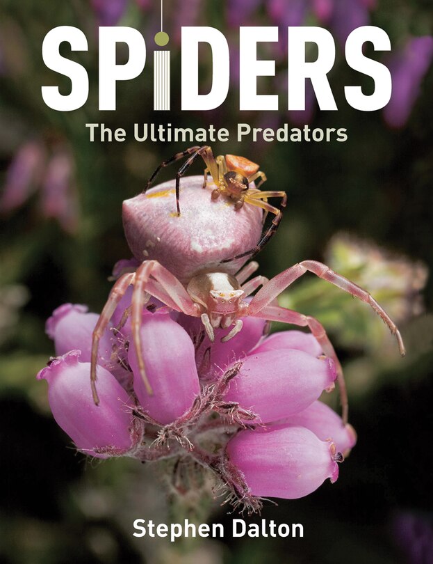 Front cover_Spiders