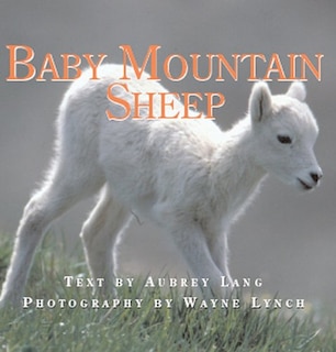 Couverture_Baby Mountain Sheep