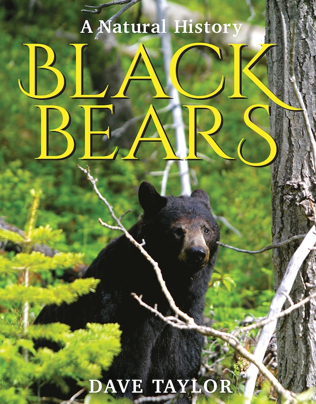 Front cover_Black Bears