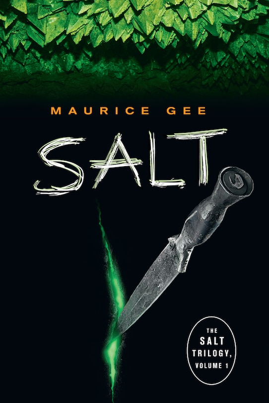 Couverture_Salt