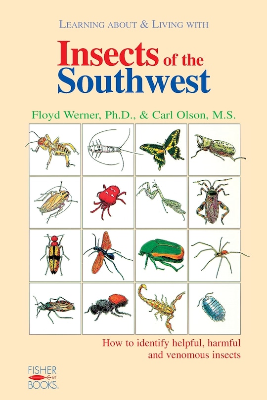 Front cover_Insects Of The Southwest