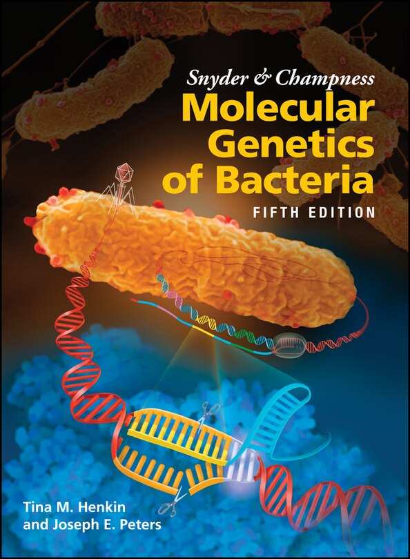 Front cover_Snyder And Champness Molecular Genetics Of Bacteria