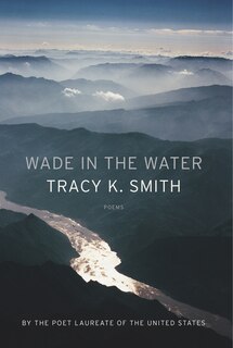 Couverture_Wade In The Water
