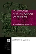Front cover_Faithfulness and the Purpose of Hebrews