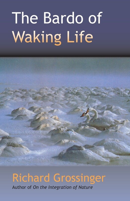 Couverture_The Bardo Of Waking Life