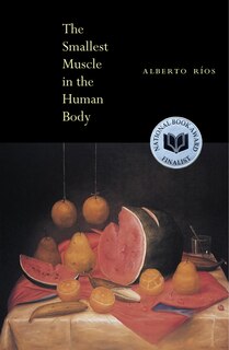 Front cover_The Smallest Muscle in the Human Body