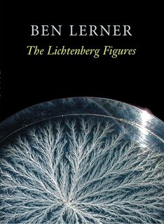Front cover_The Lichtenberg Figures
