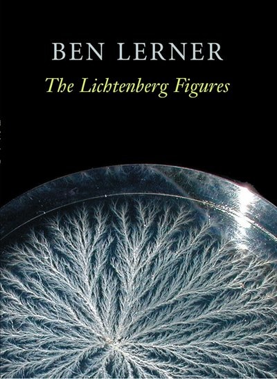 Front cover_The Lichtenberg Figures