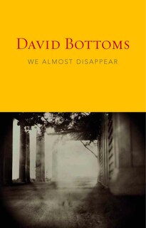 Front cover_We Almost Disappear