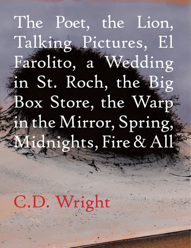 Front cover_The Poet, The Lion, Talking Pictures, El Farolito, A Wedding in St. Roch, The Big Box Store, The Warp in the Mirror, Spring, Midnights, Fire & All