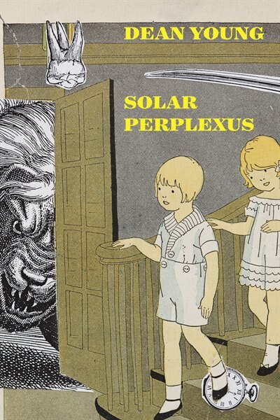 Front cover_Solar Perplexus