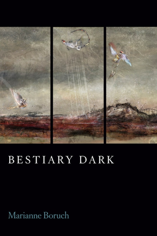 Couverture_Bestiary Dark