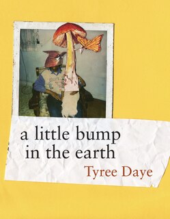 Couverture_a little bump in the earth