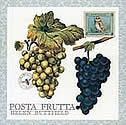 Posta Frutta - Postcard Book