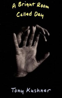 Front cover_A Bright Room Called Day