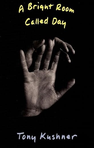 Front cover_A Bright Room Called Day