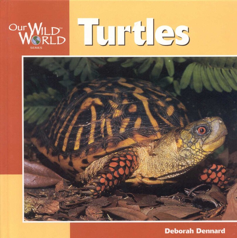 Front cover_Turtles
