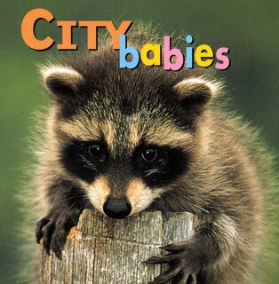 Front cover_City Babies