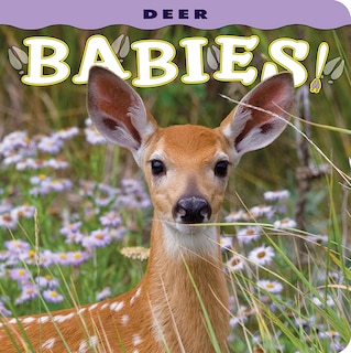 Front cover_Deer Babies!