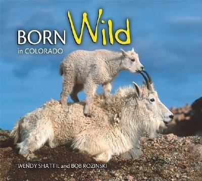 Front cover_Born Wild in Colorado