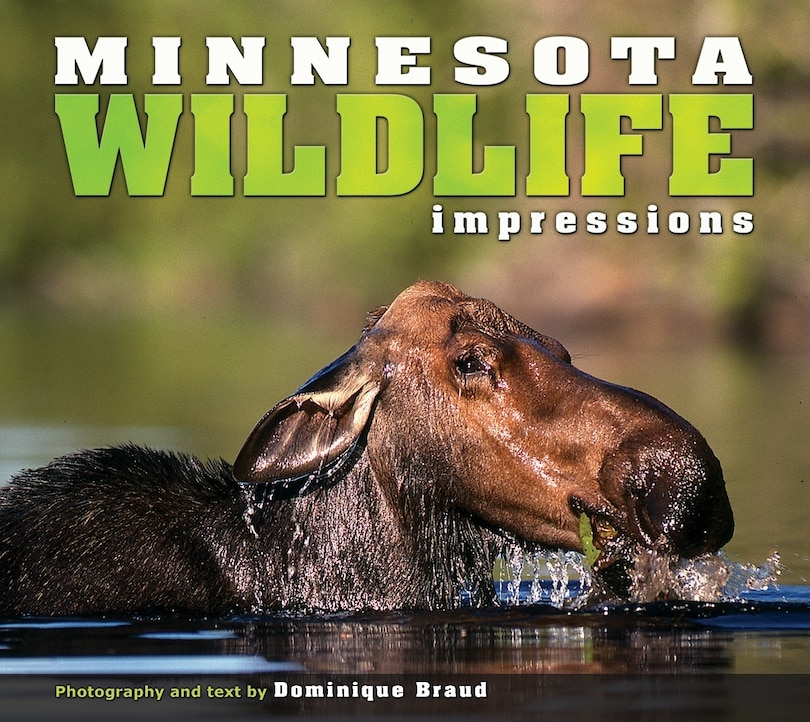 Couverture_Minnesota Wildlife Impressions