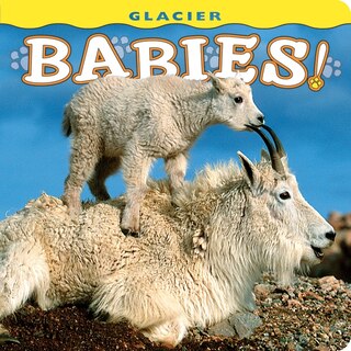 Couverture_Glacier Babies!