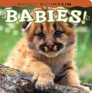 Couverture_Rocky Mountain Babies!