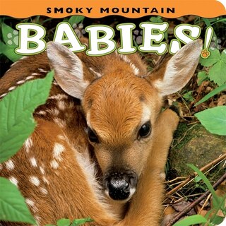 Couverture_Smoky Mountain Babies!
