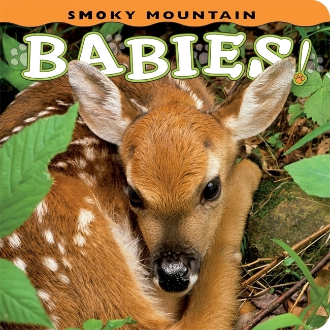 Couverture_Smoky Mountain Babies!
