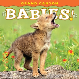 Couverture_Grand Canyon Babies!