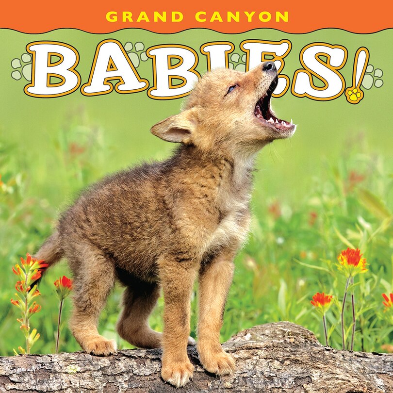 Couverture_Grand Canyon Babies!