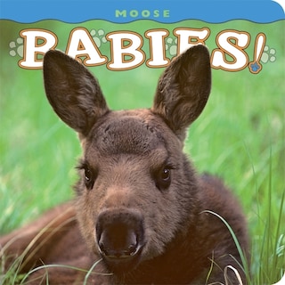 Couverture_Moose Babies!