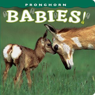 Couverture_Pronghorn Babies!