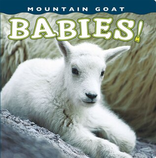 Couverture_Mountain Goat Babies!