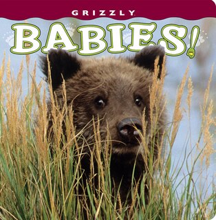Couverture_Grizzly Babies!