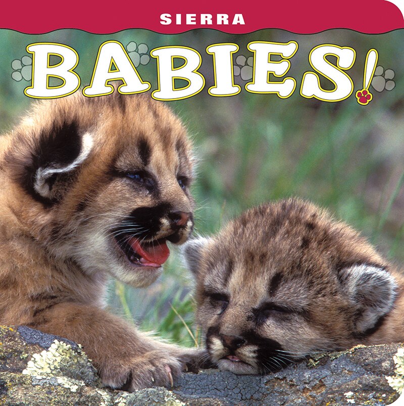 Couverture_Sierra Babies!